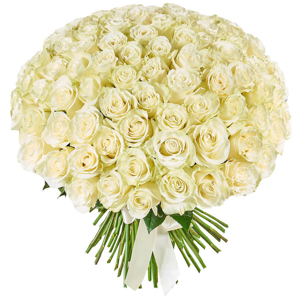 White Roses Bouquet