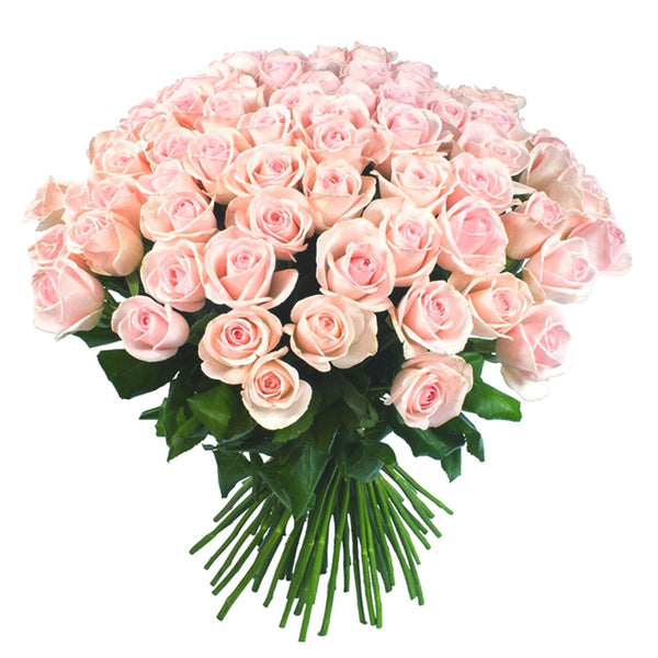 Light Pink Roses Bouquet